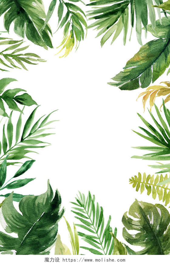 热带植物矢量树叶夏天边框春天手绘绿色树叶边框装饰素材